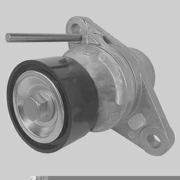 TENSOR & POLIA DAYCO APV3097