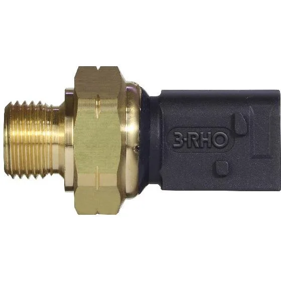 Sensor Eletrônico de Pressão 3RHO 77106
