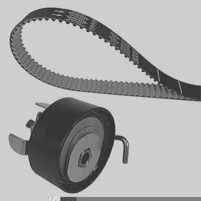 KIT BELT-IN-OIL DAYCO KBIO02