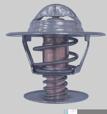 Válvula Termostática MAGNETI MARELLI MMVT224.90K