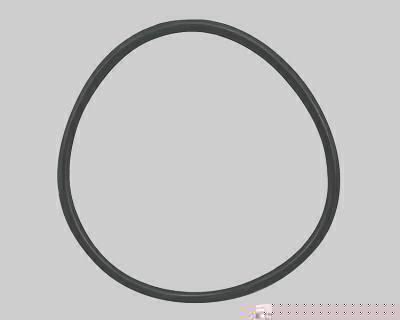 Guarnição da Flange do Módulo de Combustível MAGNETI MARELLI GFMC9102