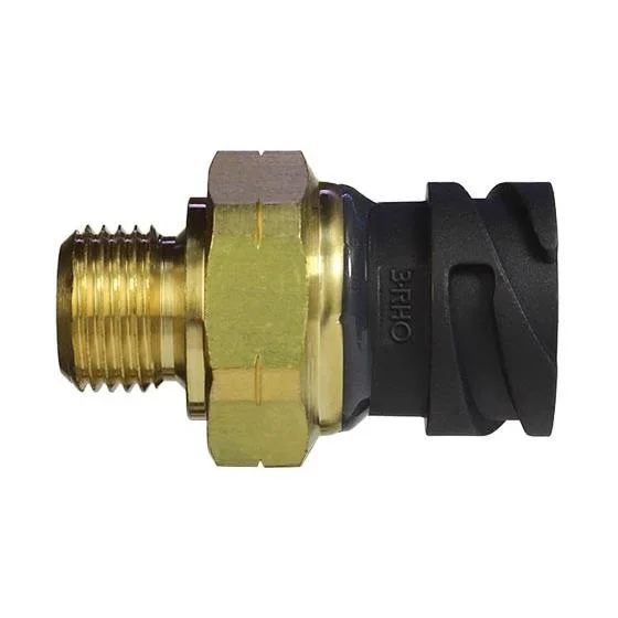 Sensor Eletrônico de Pressão 3RHO 7739