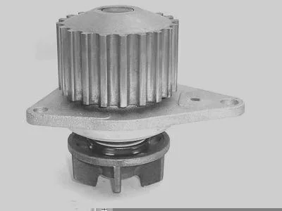 Bomba D' Água MAGNETI MARELLI BMM9018