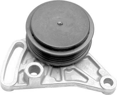 TENSIONADOR DAYCO APV2038