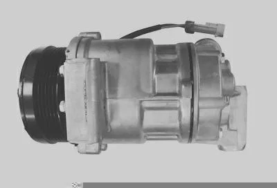 Compressor MAGNETI MARELLI 8FK351339701