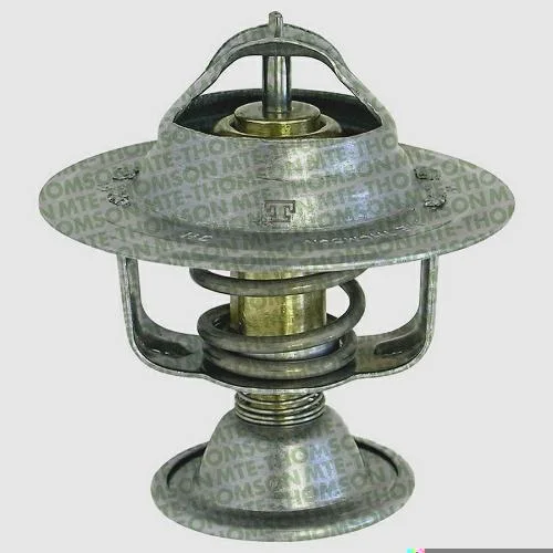 Válvula Termostática MTE-THOMSON VT208.87