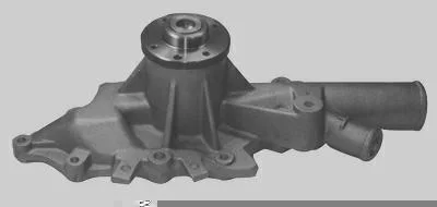 Bomba D' Água MAGNETI MARELLI BMM0376A