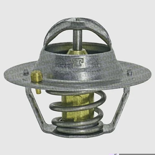 Válvula Termostática MTE-THOMSON VT441.82