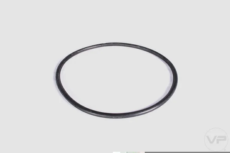 Guarnição da Flange de Combustível