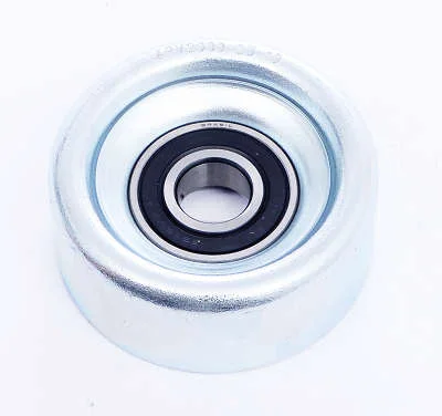 POLIA DAYCO APV2900