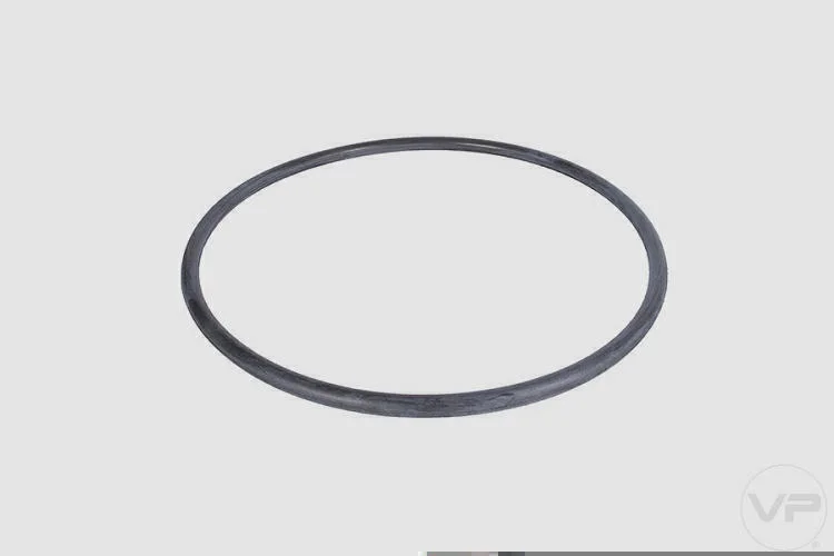 Guarnição da Flange de Combustível
