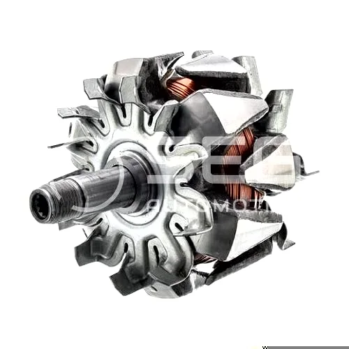 Rotor