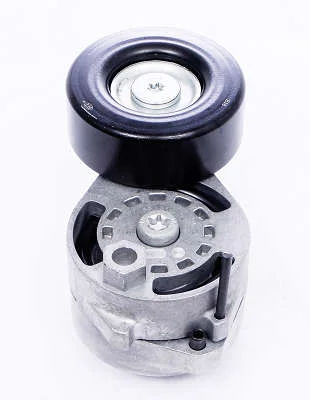 TENSIONADOR DAYCO APV2787