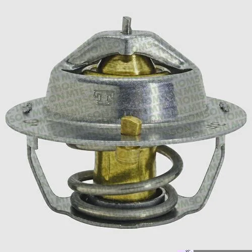 Válvula Termostática MTE-THOMSON VT439.82