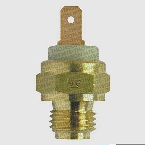 Interruptor Térmico MTE-THOMSON 3008