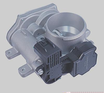 Corpo de Borboleta MAGNETI MARELLI CBMM54D040A