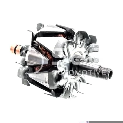 Rotor