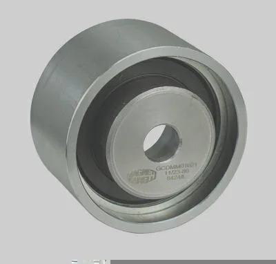Guia da Correia Dentada MAGNETI MARELLI GCDMM01021