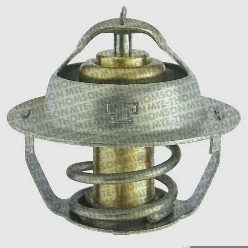 Válvula Termostática MTE-THOMSON VT320.79