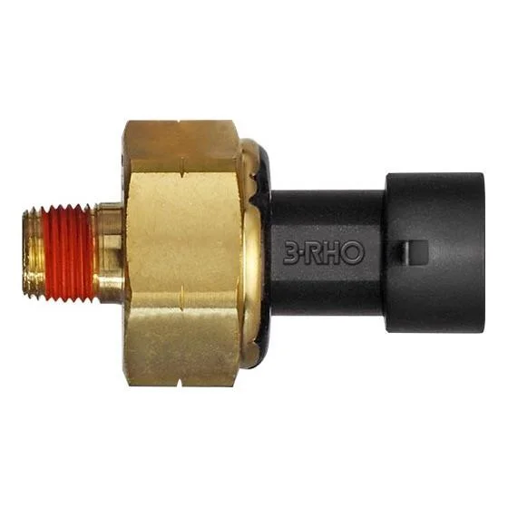 Sensor Eletrônico de Pressão 3RHO 7766