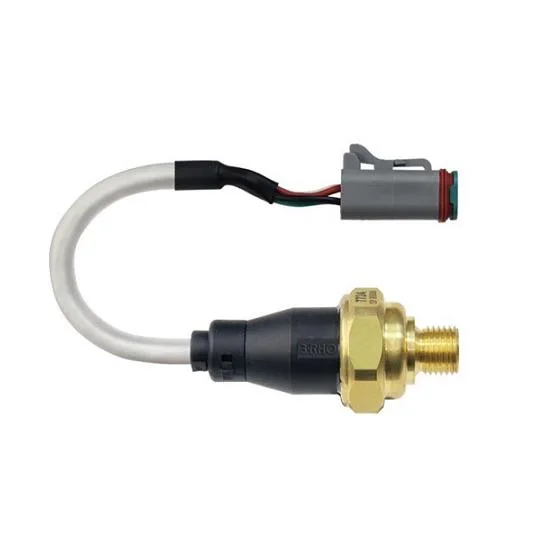 Sensor Eletrônico de Pressão 3RHO 7724