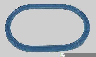 Guarnição da Flange do Módulo de Combustível MAGNETI MARELLI GFMC7802