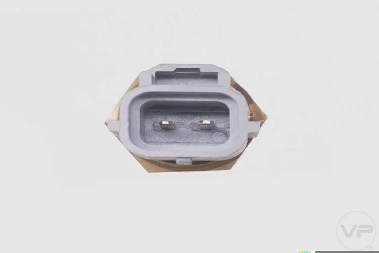 Plug Eletronico