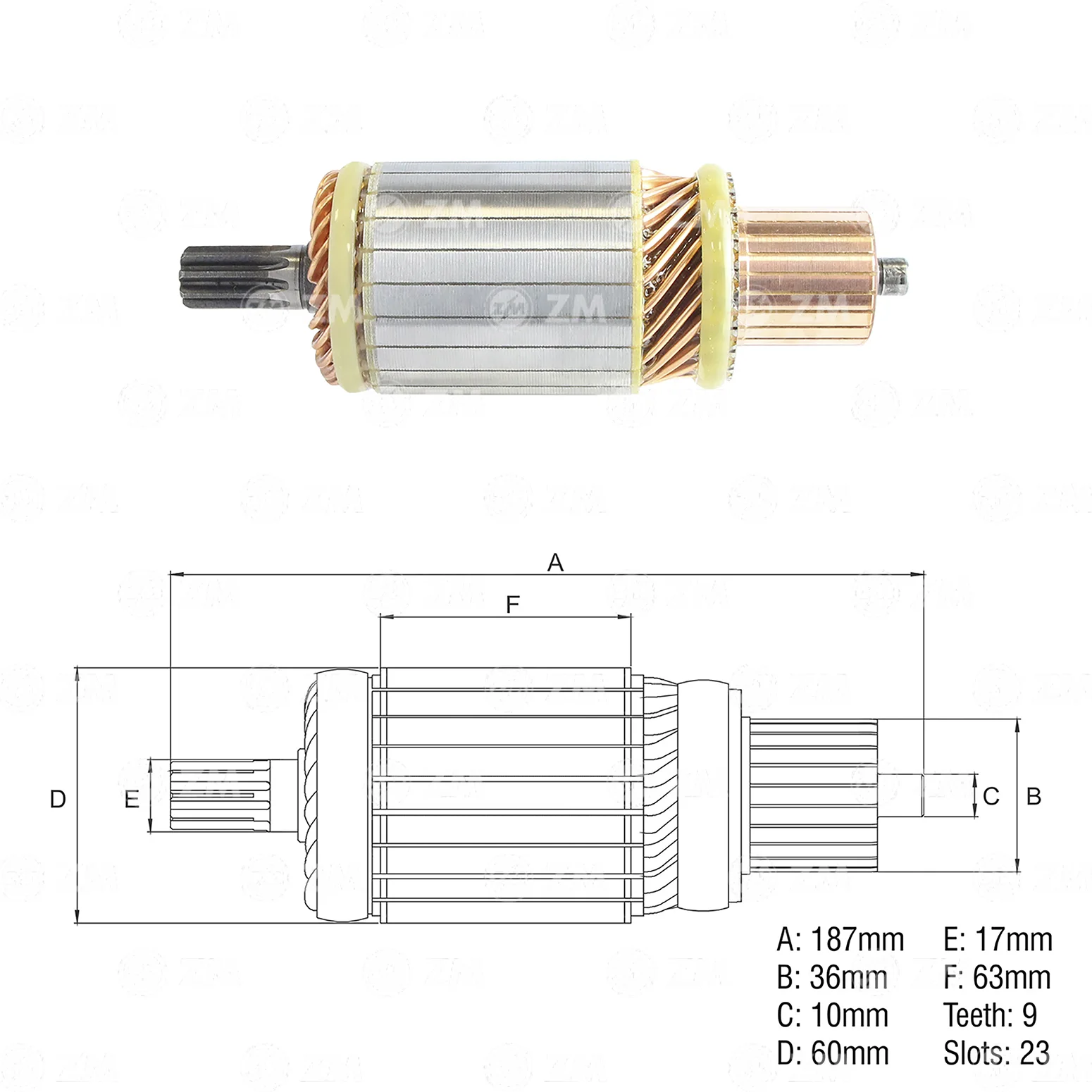 Induzido ZM 83.421.03 ZM 8342103