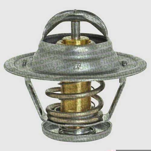 Válvula Termostática MTE-THOMSON VT273.79