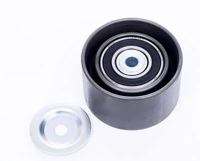 POLIA DAYCO APV2456