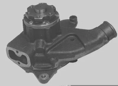 Bomba D' Água MAGNETI MARELLI BMM0313A