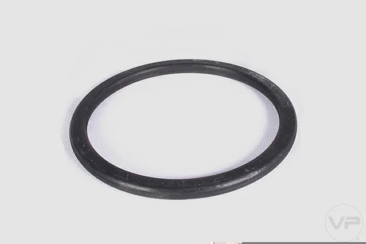 Guarnição da Flange de Combustível