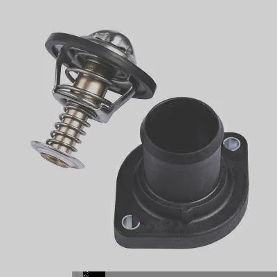 Válvula Termostática MAGNETI MARELLI MMVT504.89C