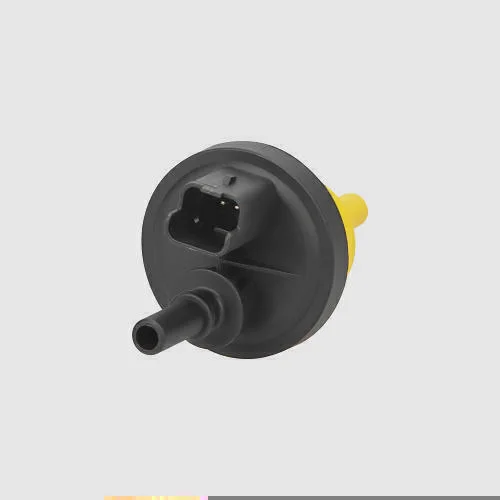 Válvula Canister