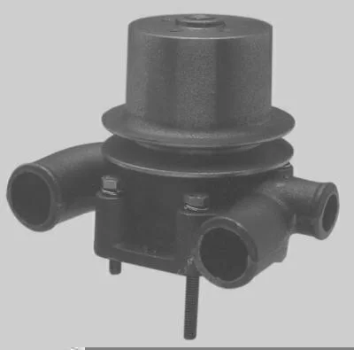 Bomba D' Água MAGNETI MARELLI BMM0320