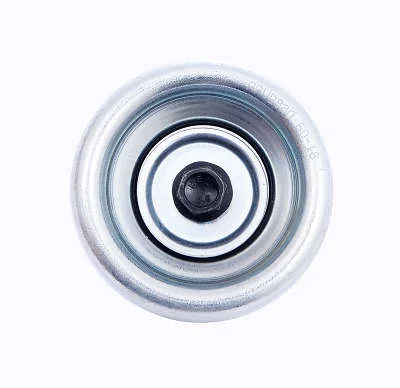 POLIA DAYCO APV2880
