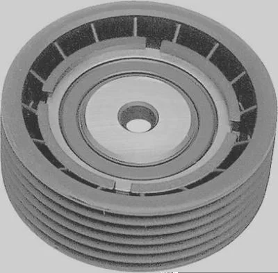 POLIA DAYCO APV2131