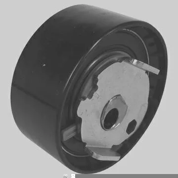 TENSOR & POLIA DAYCO ATB2732