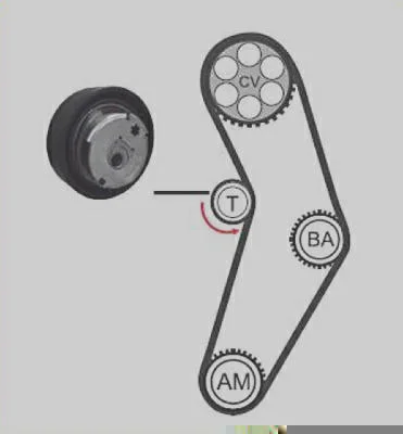 Correia + Tensor