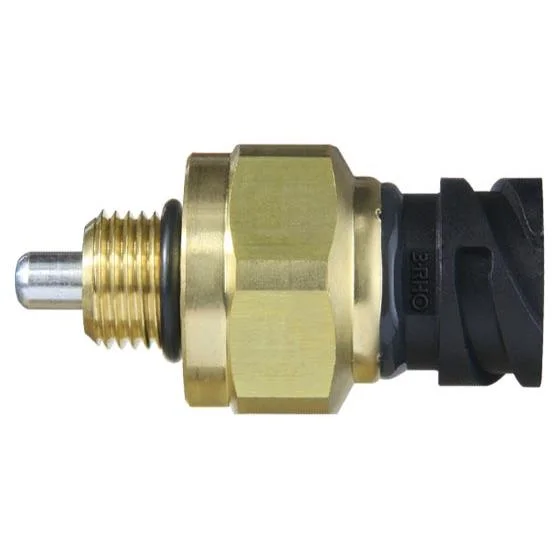 Sensor Eletrônico de Pressão 3RHO 7720