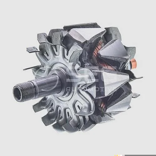 Rotor