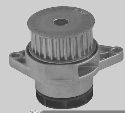 Bomba D' Água MAGNETI MARELLI BMM0629A