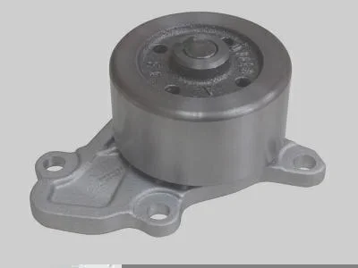 Bomba D' Água MAGNETI MARELLI BMM6002A