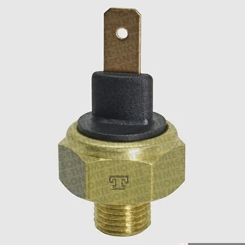 Interruptor Térmico MTE-THOMSON 806.120
