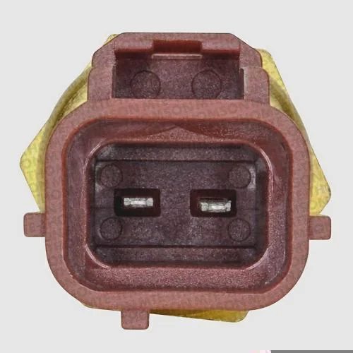 Plug Eletrônico - Água