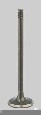 Admissão - D 26,90 / D 5,99 / L 95,40 MAGNETI MARELLI VAC03010