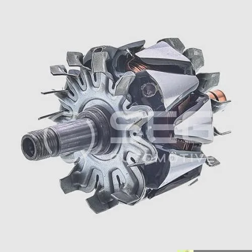 Rotor