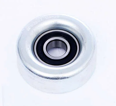 POLIA DAYCO APV2867