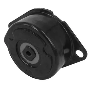 TENSOR & POLIA DAYCO APV2248