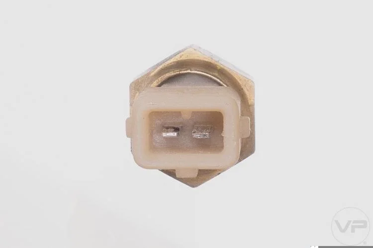 Plug Eletronico